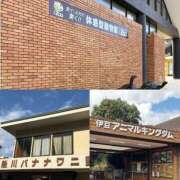 ヒメ日記 2026/03/21 15:44 投稿 マリ 金瓶梅(きんぺいぱい)(雄琴)