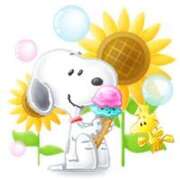 ヒメ日記 2025/04/19 15:41 投稿 ゆあ アドミsince2002立川デリヘル&Go To FANTASY東京本店