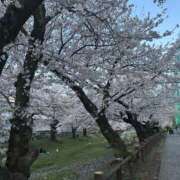 ヒメ日記 2026/03/23 13:09 投稿 ゆあ アドミsince2002立川デリヘル&Go To FANTASY東京本店