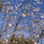 ヒメ日記 2025/02/24 18:00 投稿 今田 上野CLUB A(クラブ エー)