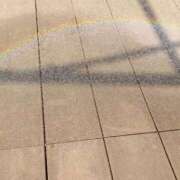 ヒメ日記 2025/06/19 11:01 投稿 しずく おいしい奥様