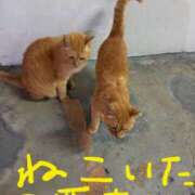 ヒメ日記 2025/07/31 17:15 投稿 しずく おいしい奥様