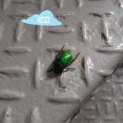 ヒメ日記 2025/08/19 20:09 投稿 しずく おいしい奥様