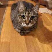 ヒメ日記 2025/10/17 18:45 投稿 しずく おいしい奥様