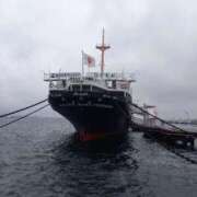 ヒメ日記 2025/10/25 12:12 投稿 しずく おいしい奥様