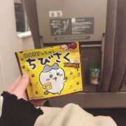 ヒメ日記 2025/03/25 10:44 投稿 ちづる シャトーペトラ