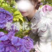 ヒメ日記 2025/06/18 17:25 投稿 ちづる シャトーペトラ