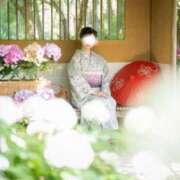 ヒメ日記 2025/07/19 08:02 投稿 ちづる シャトーペトラ