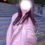 ヒメ日記 2025/11/27 08:30 投稿 ちづる シャトーペトラ