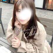 ヒメ日記 2026/04/08 07:31 投稿 ちづる シャトーペトラ