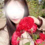 ヒメ日記 2026/04/14 12:45 投稿 ちづる シャトーペトラ