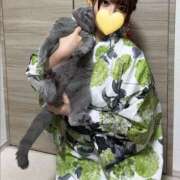 ヒメ日記 2025/09/02 07:57 投稿 ひびき ミスターダンディ パート2