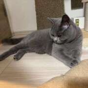 ヒメ日記 2025/10/30 15:24 投稿 ひびき ミスターダンディ パート2