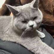 ヒメ日記 2026/02/11 15:35 投稿 ひびき ミスターダンディ パート2