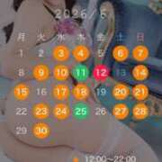 ヒメ日記 2026/05/22 09:55 投稿 ひびき ミスターダンディ パート2