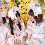 ヒメ日記 2026/08/19 00:50 投稿 ひびき ミスターダンディ パート2