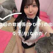 ヒメ日記 2026/09/06 02:04 投稿 ひびき ミスターダンディ パート2