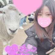 あき 〇れてくれなきゃ怒っちゃう！？ ミスターダンディ パート2