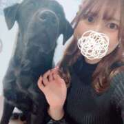 ヒメ日記 2025/03/03 13:15 投稿 くらげ ミスターダンディ パート2