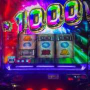 ヒメ日記 2025/06/17 09:01 投稿 くらげ ミスターダンディ パート2