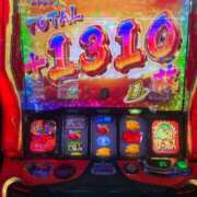 ヒメ日記 2026/03/09 10:00 投稿 くらげ ミスターダンディ パート2