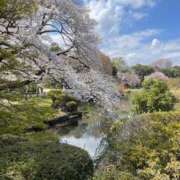 ヒメ日記 2026/04/21 13:18 投稿 くらげ ミスターダンディ パート2