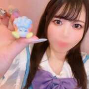 ヒメ日記 2026/04/24 11:40 投稿 くらげ ミスターダンディ パート2