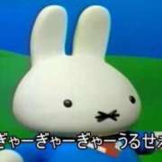 ヒメ日記 2025/08/19 10:42 投稿 ここあ ミスターダンディ パート2