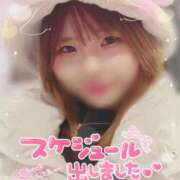 ヒメ日記 2025/03/04 17:36 投稿 とわ ミスターダンディ パート2