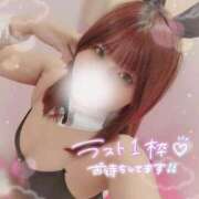 ヒメ日記 2025/04/13 18:34 投稿 とわ ミスターダンディ パート2