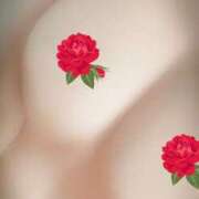 ヒメ日記 2025/05/24 06:57 投稿 ここの ステキなエステは好きですか？