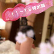 ヒメ日記 2025/03/22 12:09 投稿 みのり 進撃の妻