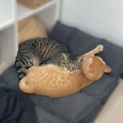 ヒメ日記 2025/05/01 13:08 投稿 みのり 進撃の妻