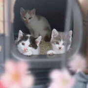 ヒメ日記 2025/05/20 16:42 投稿 みのり 進撃の妻