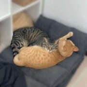 ヒメ日記 2025/06/28 18:13 投稿 みのり 進撃の妻