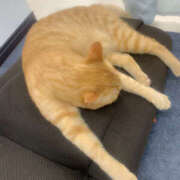 ヒメ日記 2025/07/17 16:28 投稿 みのり 進撃の妻