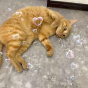 ヒメ日記 2025/09/20 16:46 投稿 みのり 進撃の妻