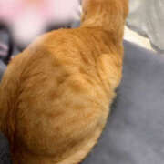 ヒメ日記 2025/10/09 11:09 投稿 みのり 進撃の妻