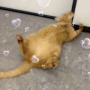 ヒメ日記 2025/10/28 17:14 投稿 みのり 進撃の妻