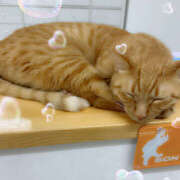 ヒメ日記 2025/12/09 11:24 投稿 みのり 進撃の妻