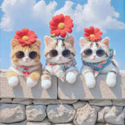 ヒメ日記 2025/12/20 17:08 投稿 みのり 進撃の妻