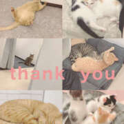 ヒメ日記 2025/12/30 12:00 投稿 みのり 進撃の妻