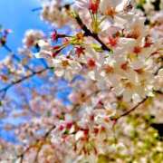 ヒメ日記 2025/04/13 00:14 投稿 ひなた ルーブル