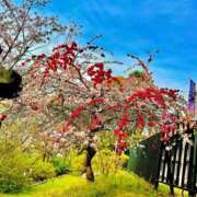 ヒメ日記 2025/04/15 00:04 投稿 ひなた ルーブル