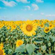 ヒメ日記 2025/09/08 00:14 投稿 ひなた ルーブル