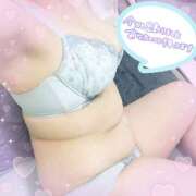 ヒメ日記 2025/02/14 16:15 投稿 こころ 山梨甲府甲斐ちゃんこ