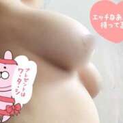 ヒメ日記 2025/02/27 19:16 投稿 こころ 山梨甲府甲斐ちゃんこ