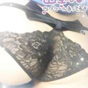 ヒメ日記 2025/03/31 17:44 投稿 こころ 山梨甲府甲斐ちゃんこ