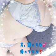 ヒメ日記 2025/04/09 01:32 投稿 こころ 山梨甲府甲斐ちゃんこ