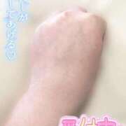 ヒメ日記 2025/08/17 18:02 投稿 こころ 山梨甲府甲斐ちゃんこ